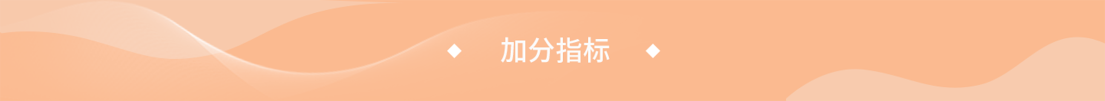 加分指标